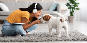 Pet Insurance, Healthy Pet, Voluntary Benefits, Employee Benefits